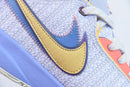 Lebron XX LMTD